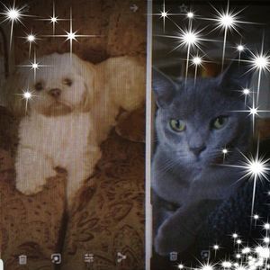 Meet your Posher, Rhonda